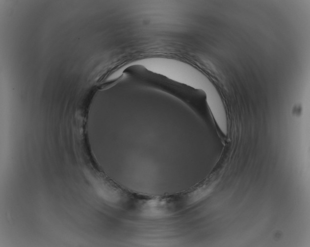 X0000091960366200709271351