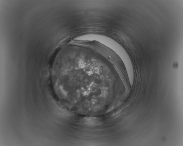 X0000091960367200709271351