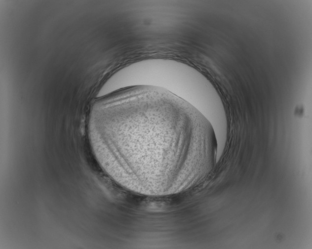 X0000091960368200709271351