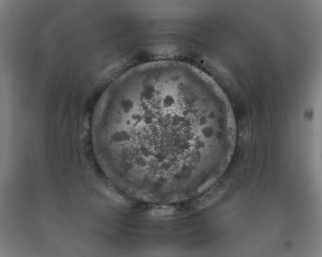 X0000091960369200709271351