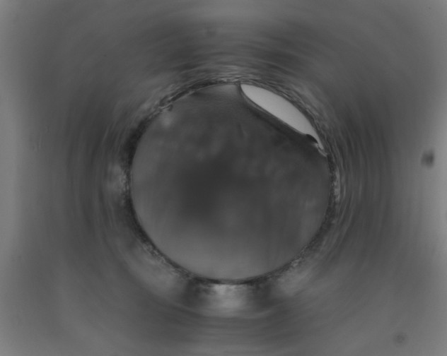 X0000091960371200709271351