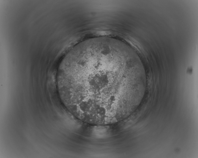 X0000091960373200709271351