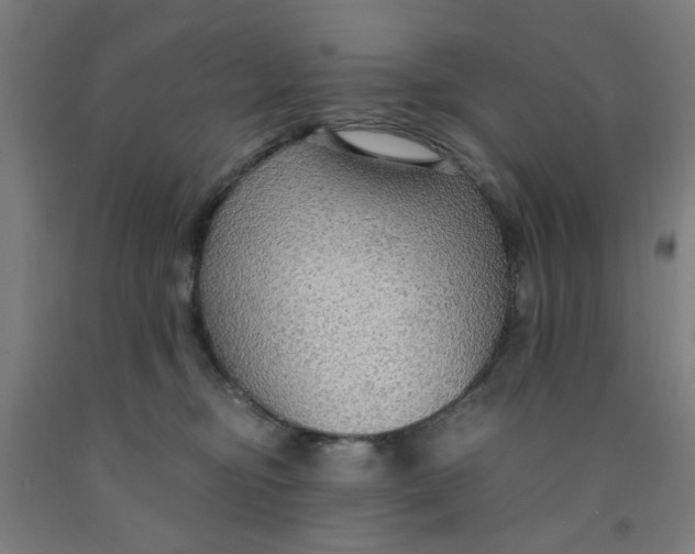 X0000091960374200709271351