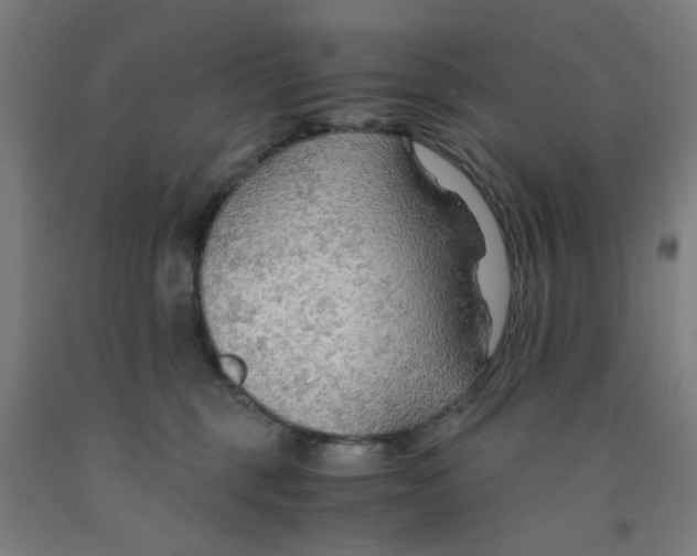 X0000091960375200709271351