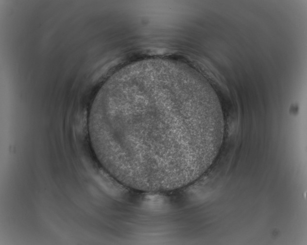 X0000091960376200709271351