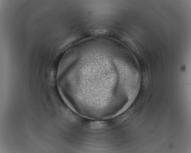 X0000091960378200709271351