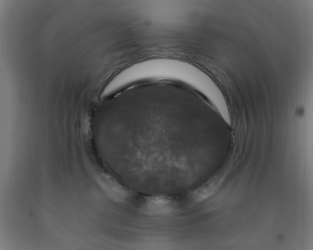 X0000091960380200709271351