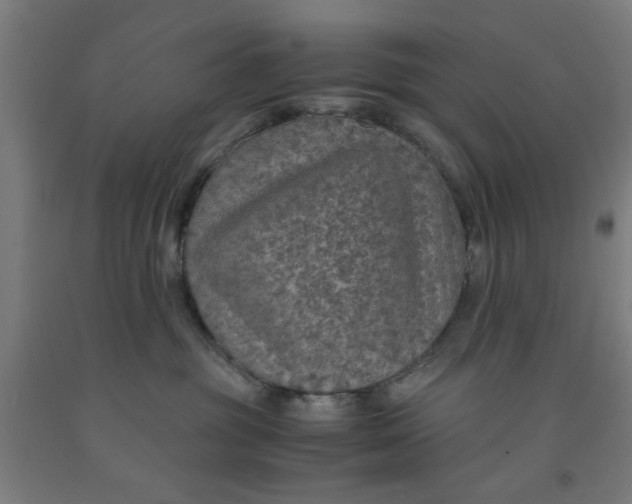 X0000091960381200709271351