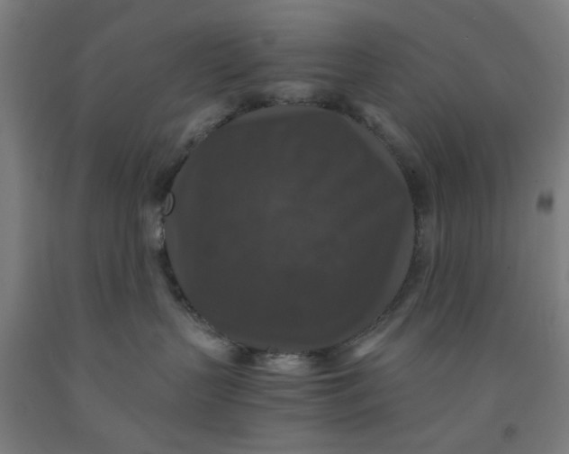 X0000091960383200709271351