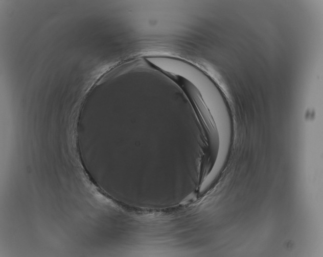 X0000091960385200709271351