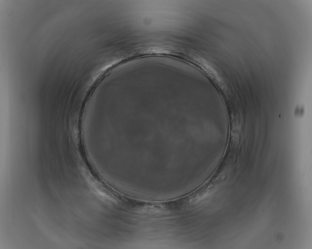 X0000091960386200709271351