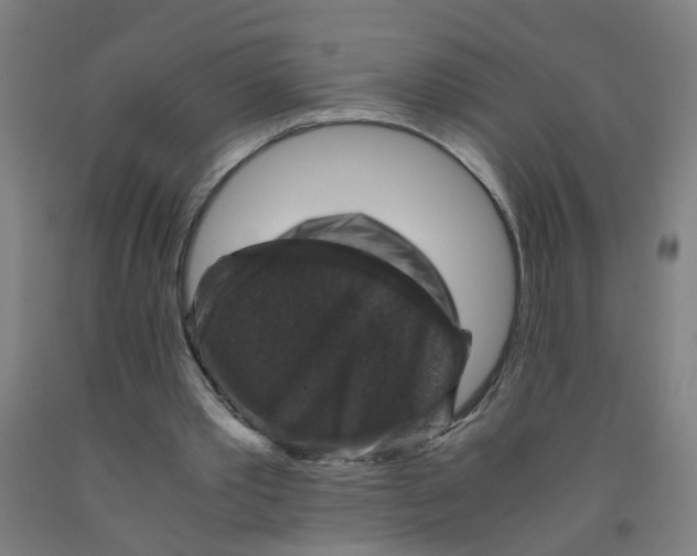 X0000091960389200709271351