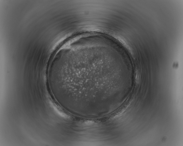 X0000091960390200709271351