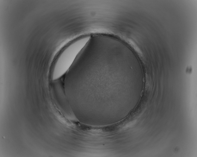 X0000091960391200709271351