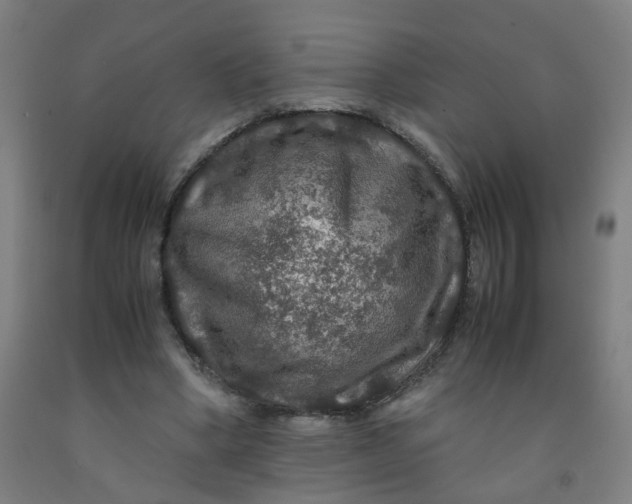 X0000091960394200709271351