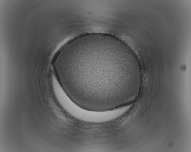 X0000091960395200709271351