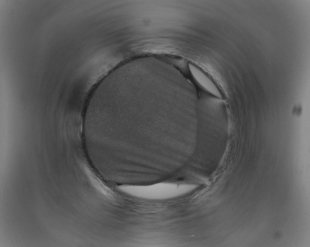 X0000091960397200709271351