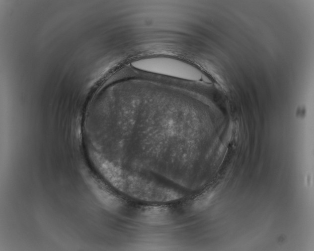 X0000091960398200709271351