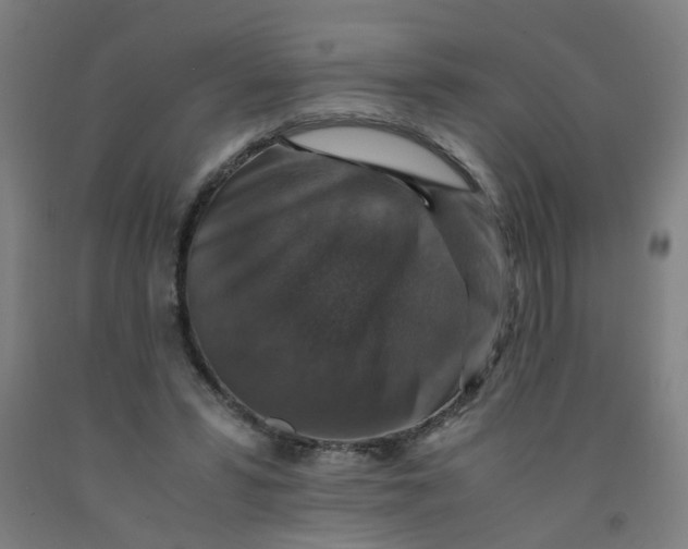 X0000091960399200709271351