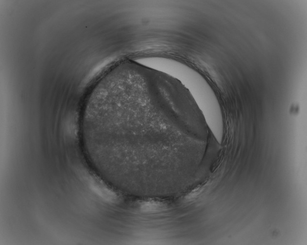 X0000091960400200709271351