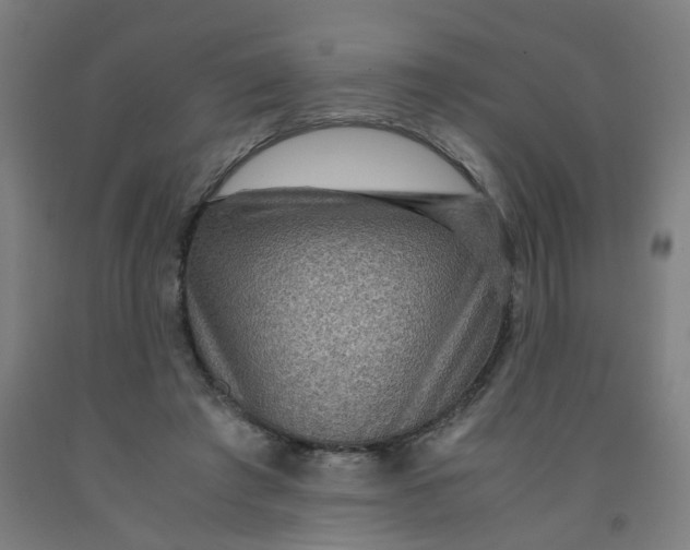 X0000091960401200709271351