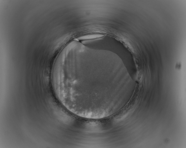 X0000091960402200709271351