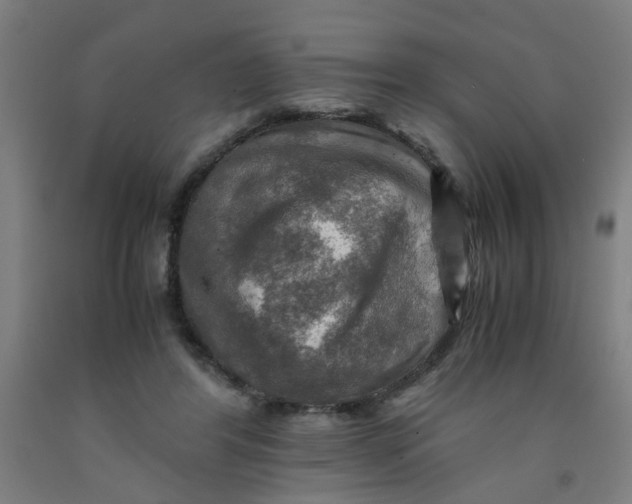 X0000091960404200709271351