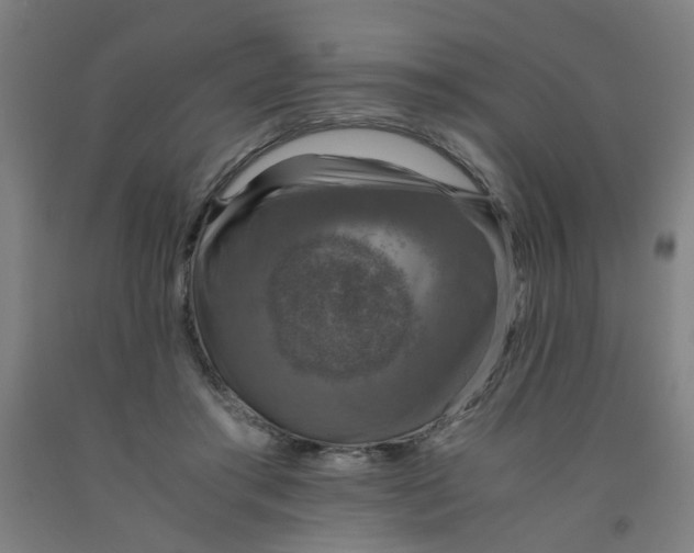 X0000091960405200709271351