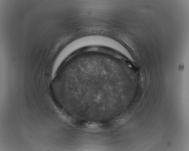 X0000091960407200709271351