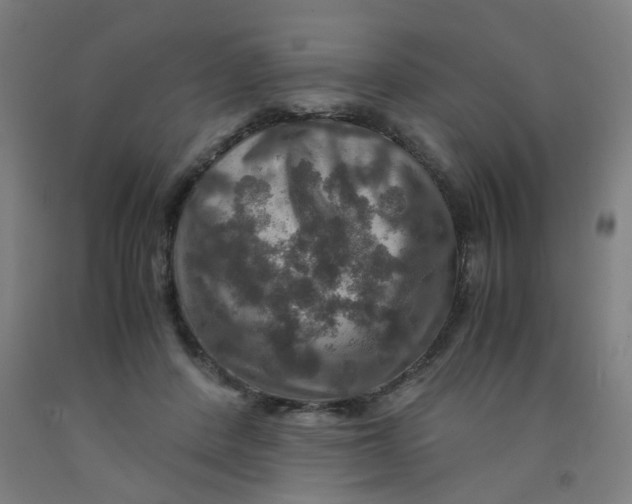 X0000091960408200709271351