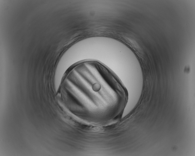 X0000091960409200709271350