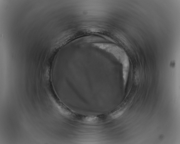 X0000091960410200709271350