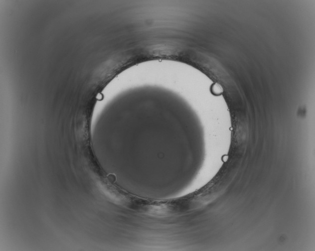 X0000091960411200709271350