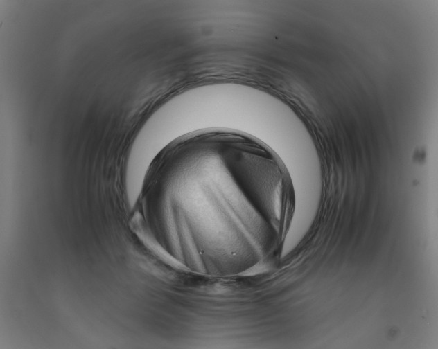 X0000091960412200709271350