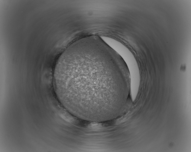 X0000091960413200709271350