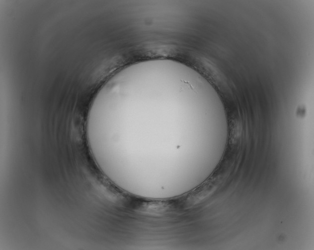 X0000091960414200709271350