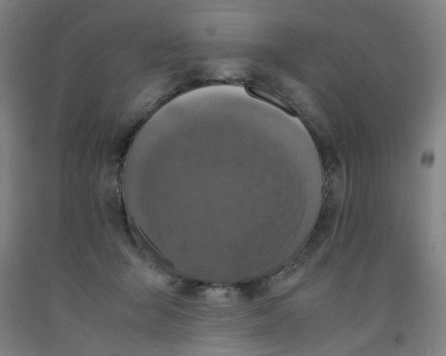 X0000091960415200709271350