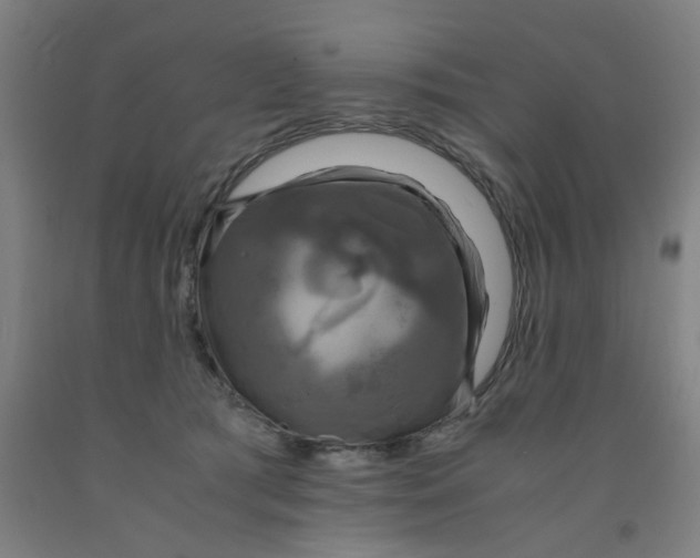 X0000091960417200709271350