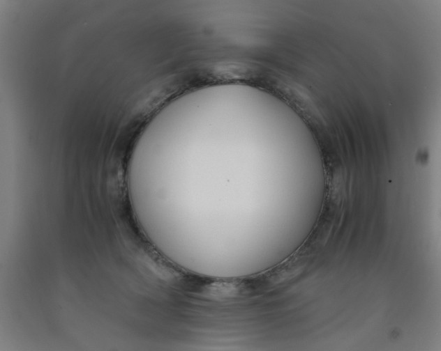 X0000091960418200709271350