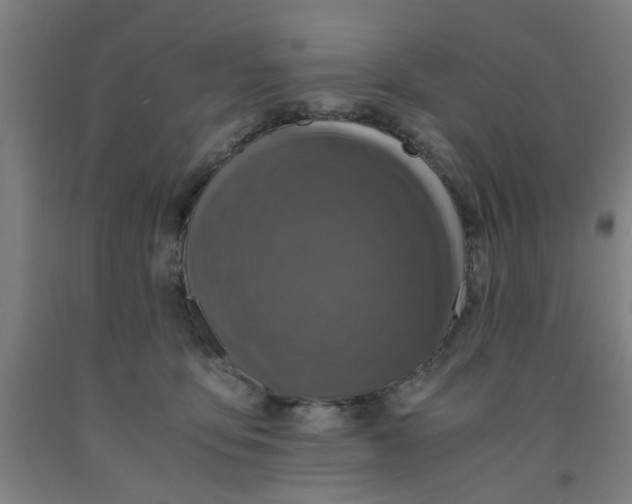 X0000091960419200709271350