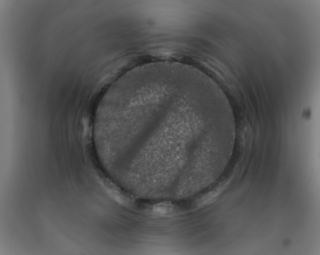 X0000091960420200709271350