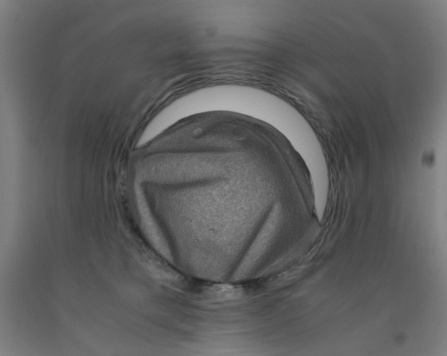 X0000091960421200709271350