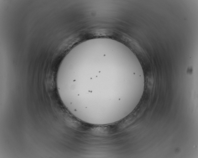 X0000091960422200709271350