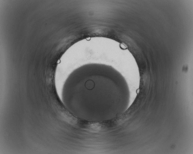 X0000091960423200709271350