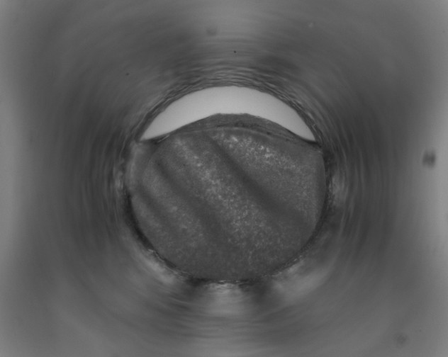 X0000091960424200709271350