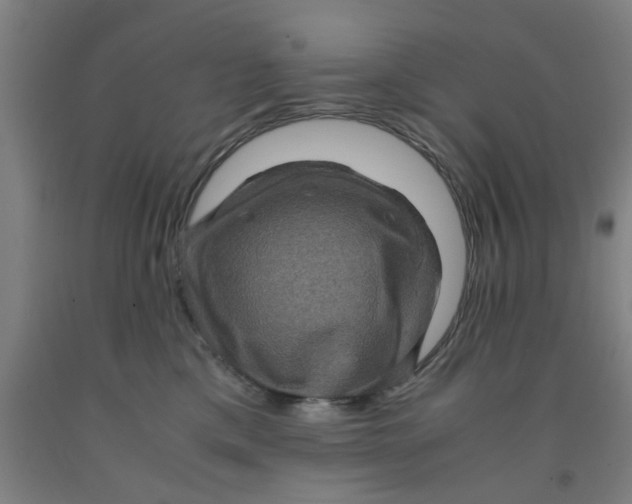 X0000091960425200709271350