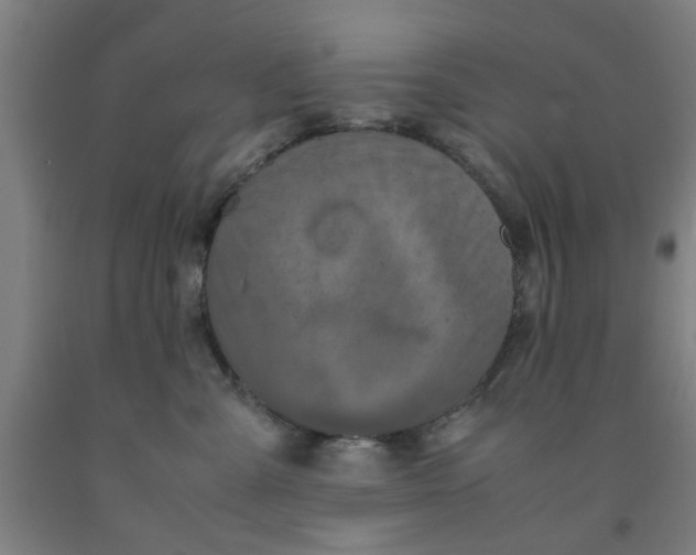 X0000091960427200709271350