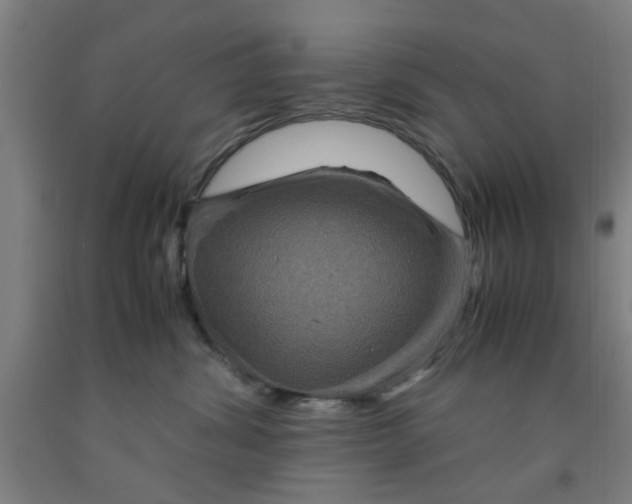 X0000091960428200709271350