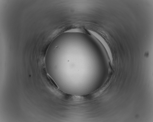 X0000091960429200709271350