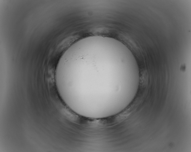 X0000091960430200709271350